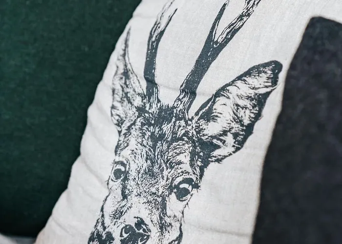 Alpine 407 By Globboard *