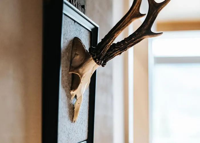 公寓 Alpine 407 By Globboard