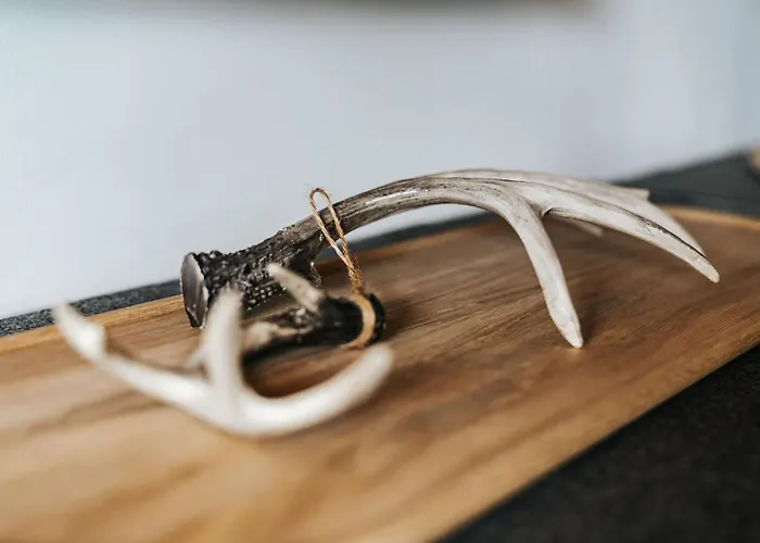 Apartment Alpine 407 By Globboard Schladming